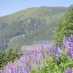 Schlosser Lejlighed Zell am See