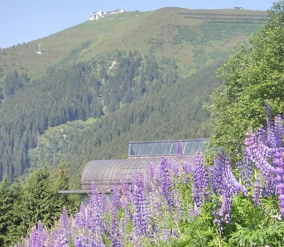 Schlosser Appartement Zell am See