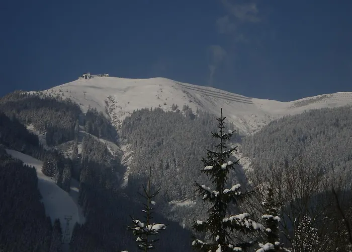 公寓 施洛瑟公寓 滨湖采尔