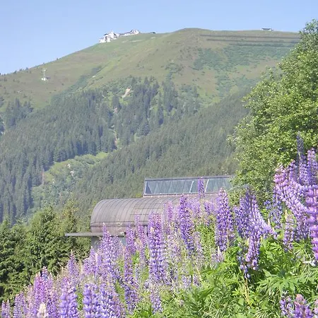 Schlosser Lägenhet Zell am See