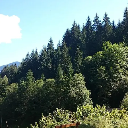 Schlosser * Zell am See